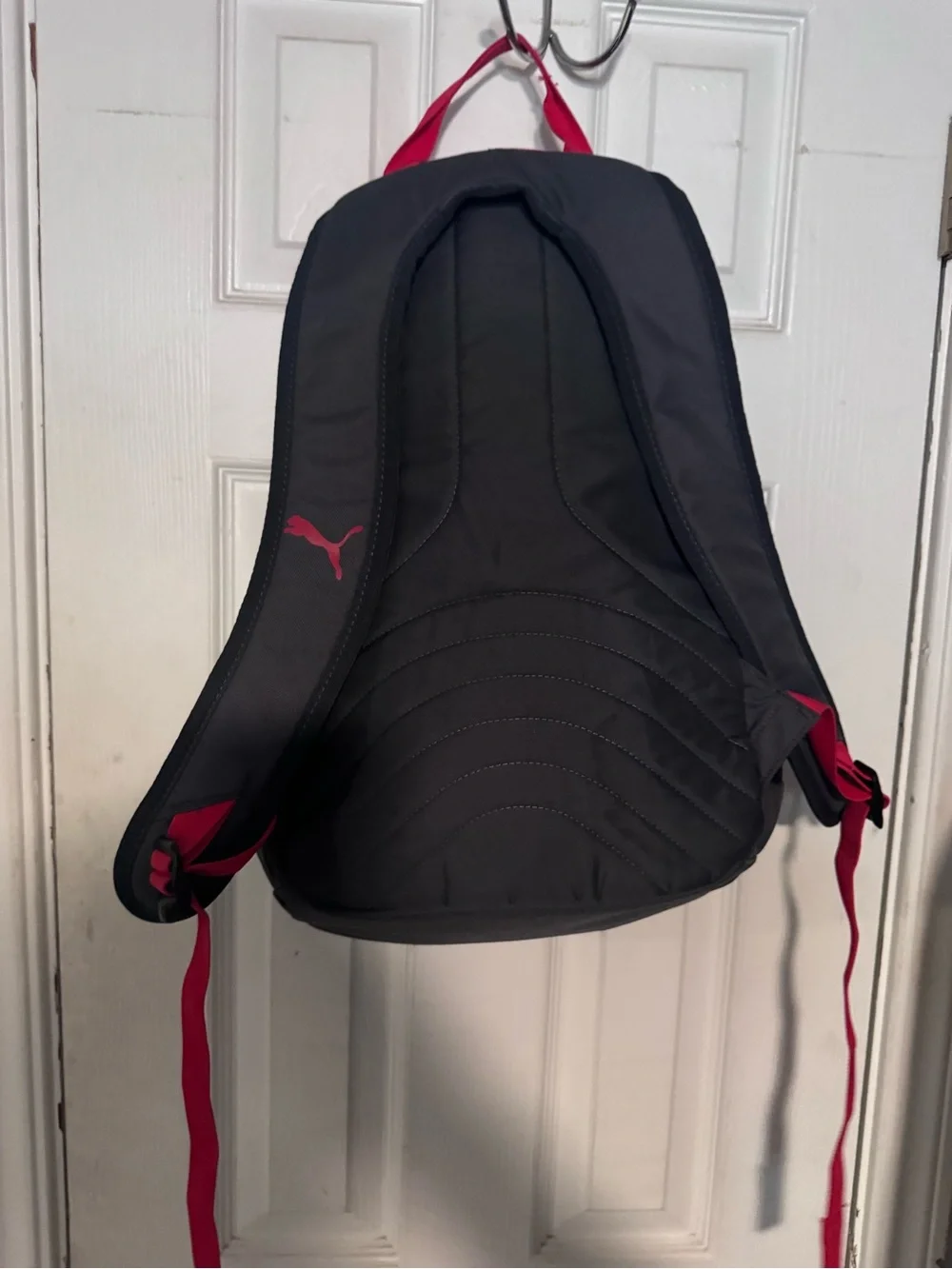 Puma Men’s Gray and red Dragon Graphic Backpack